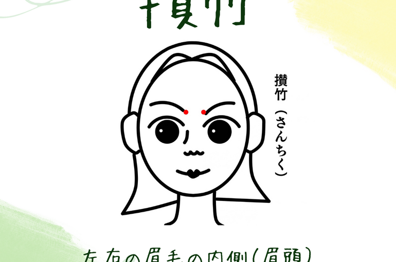 攅竹
